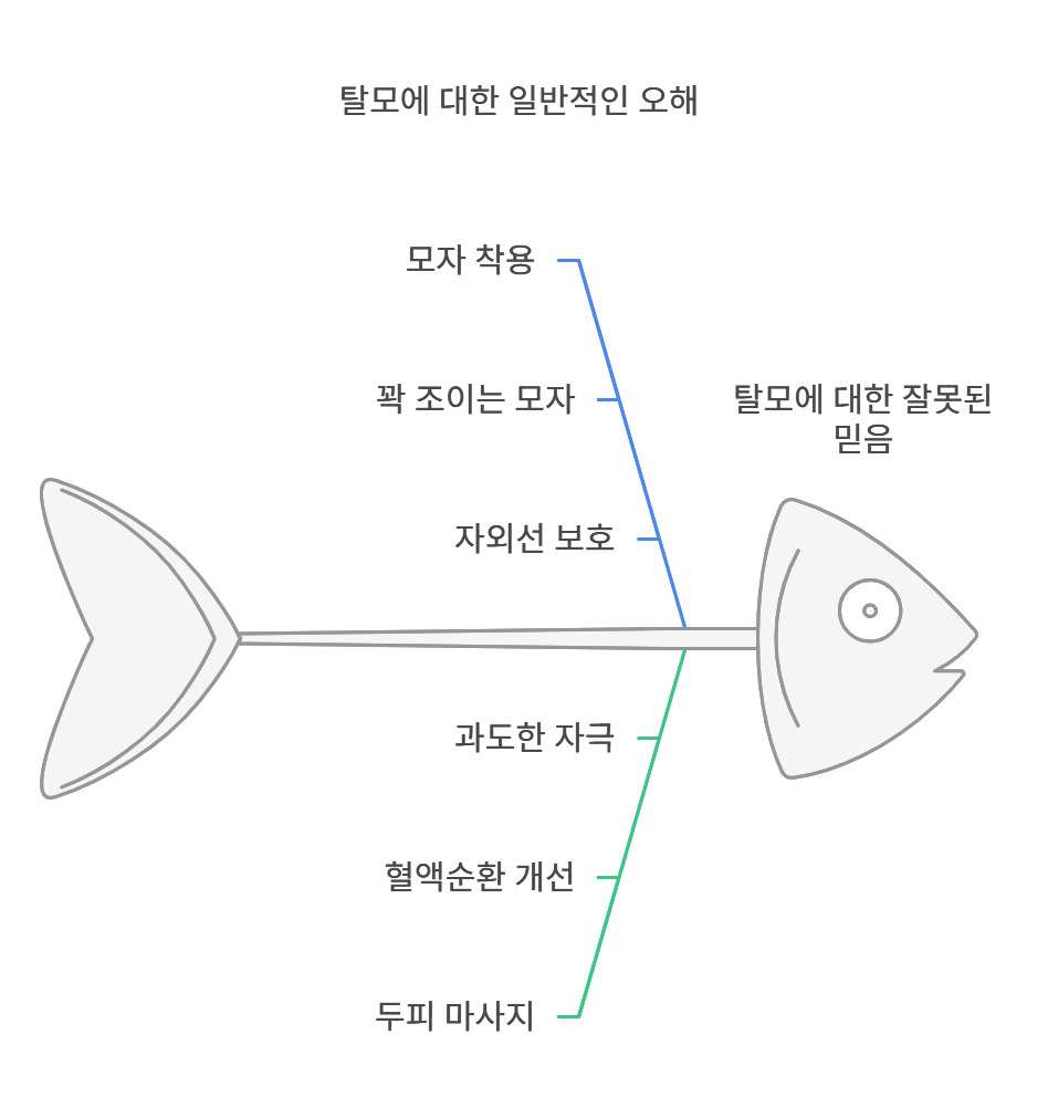 탈모에 대한 잘못된 상식 & 전문의가 알려주는 4단계 해결법