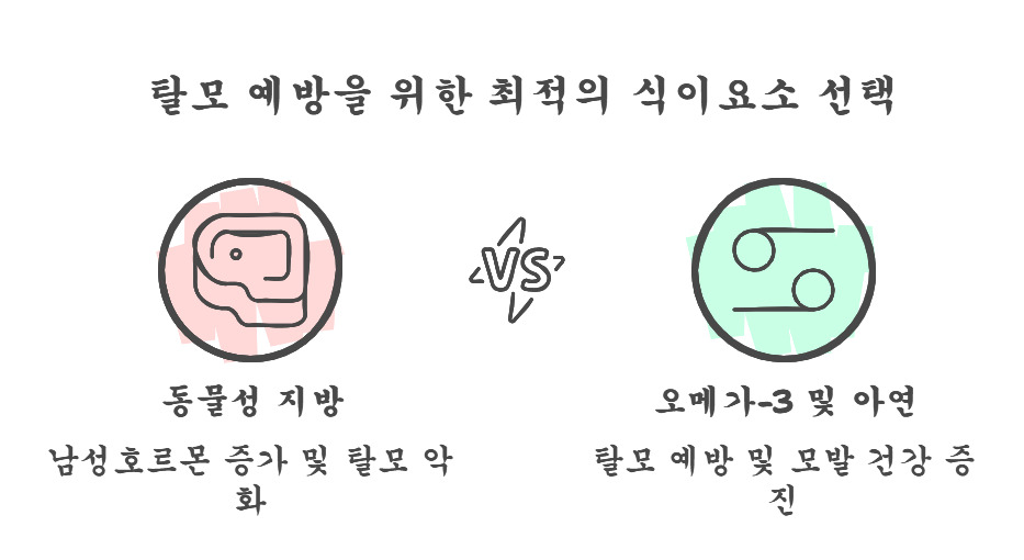 탈모에 대한 잘못된 상식 & 전문의가 알려주는 4단계 해결법