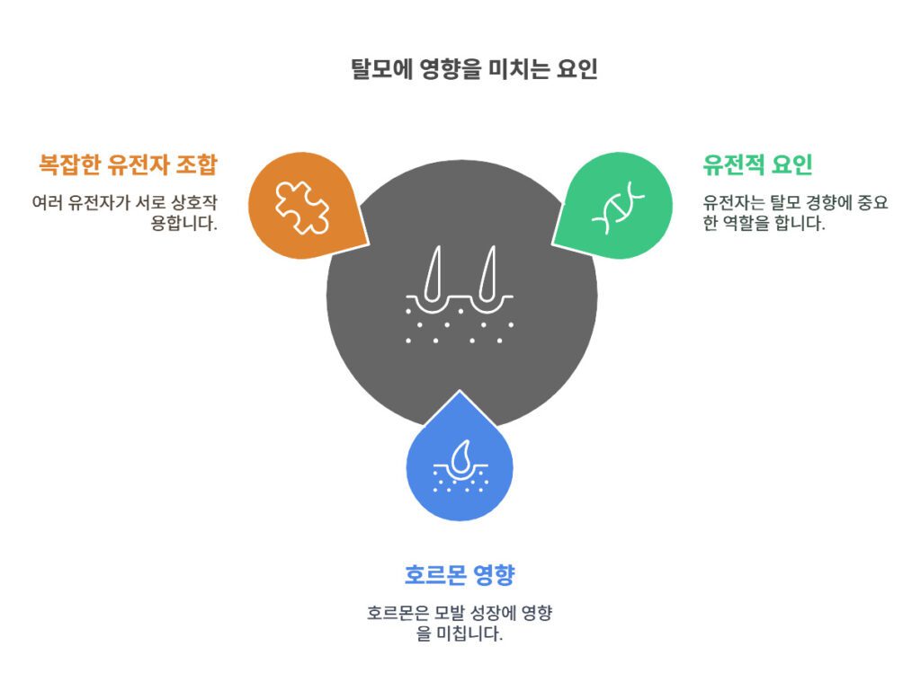 탈모에 대한 잘못된 상식 & 전문의가 알려주는 4단계 해결법