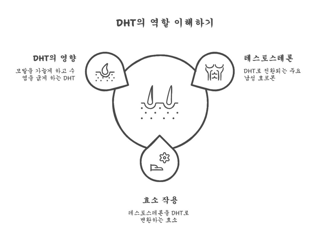 탈모에 대한 잘못된 상식 & 전문의가 알려주는 4단계 해결법